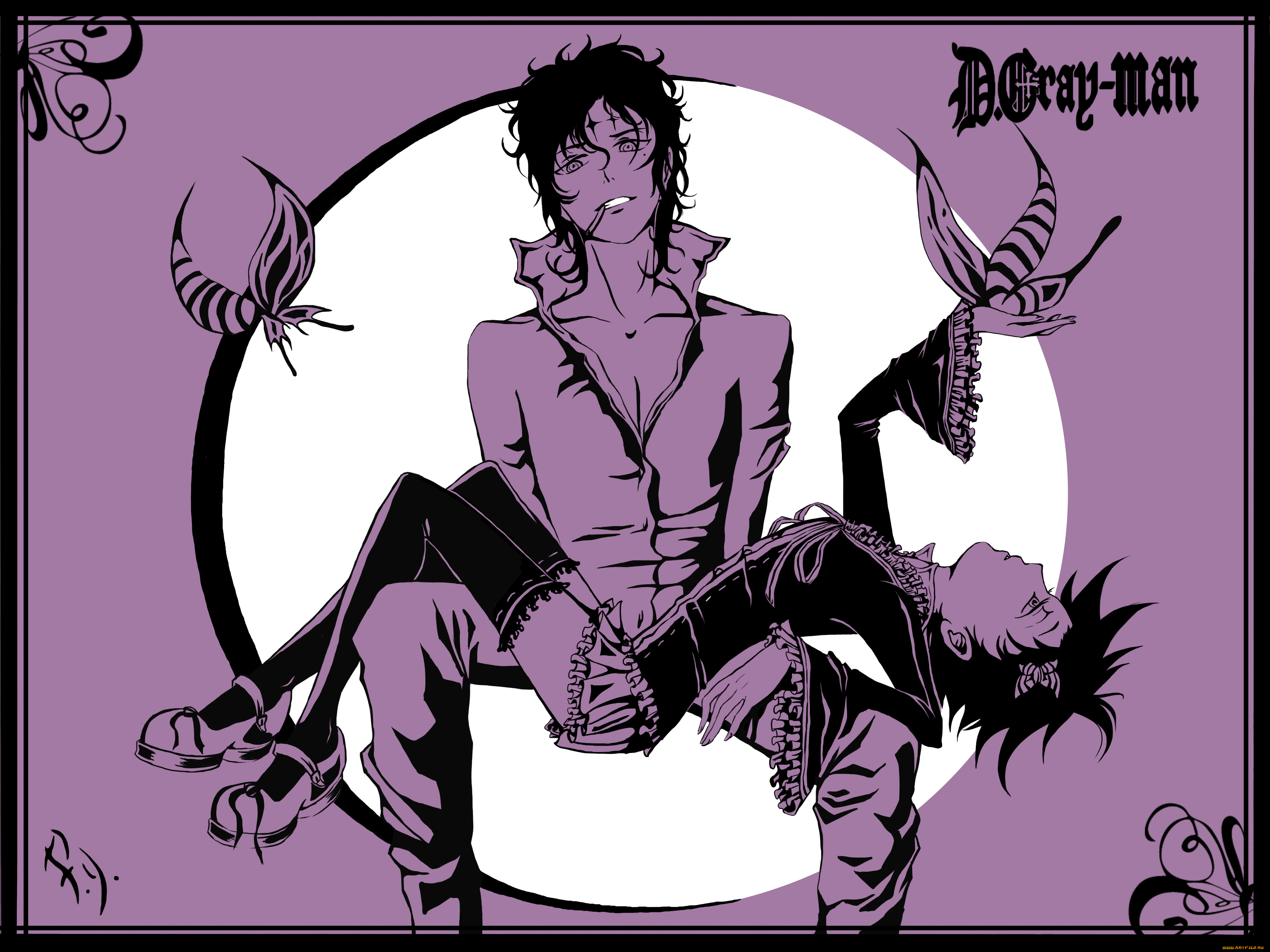 аниме, , gray-man, двое