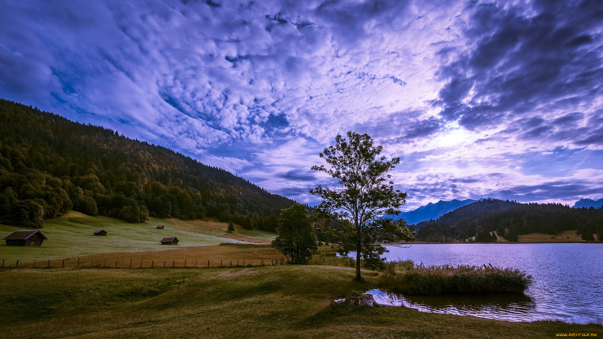 природа, пейзажи, река, лес, горы