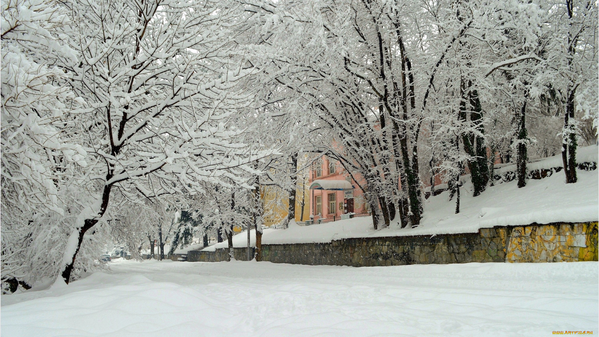 природа, зима, деревья, снег