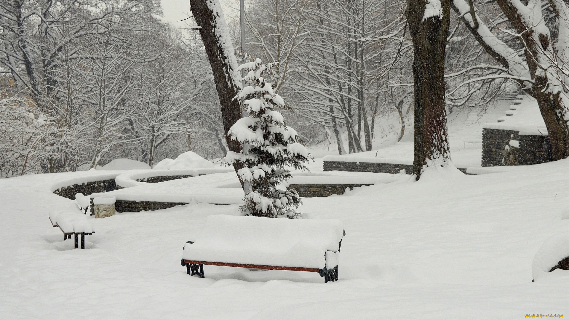 природа, зима, снег, деревья, скамейки, парк