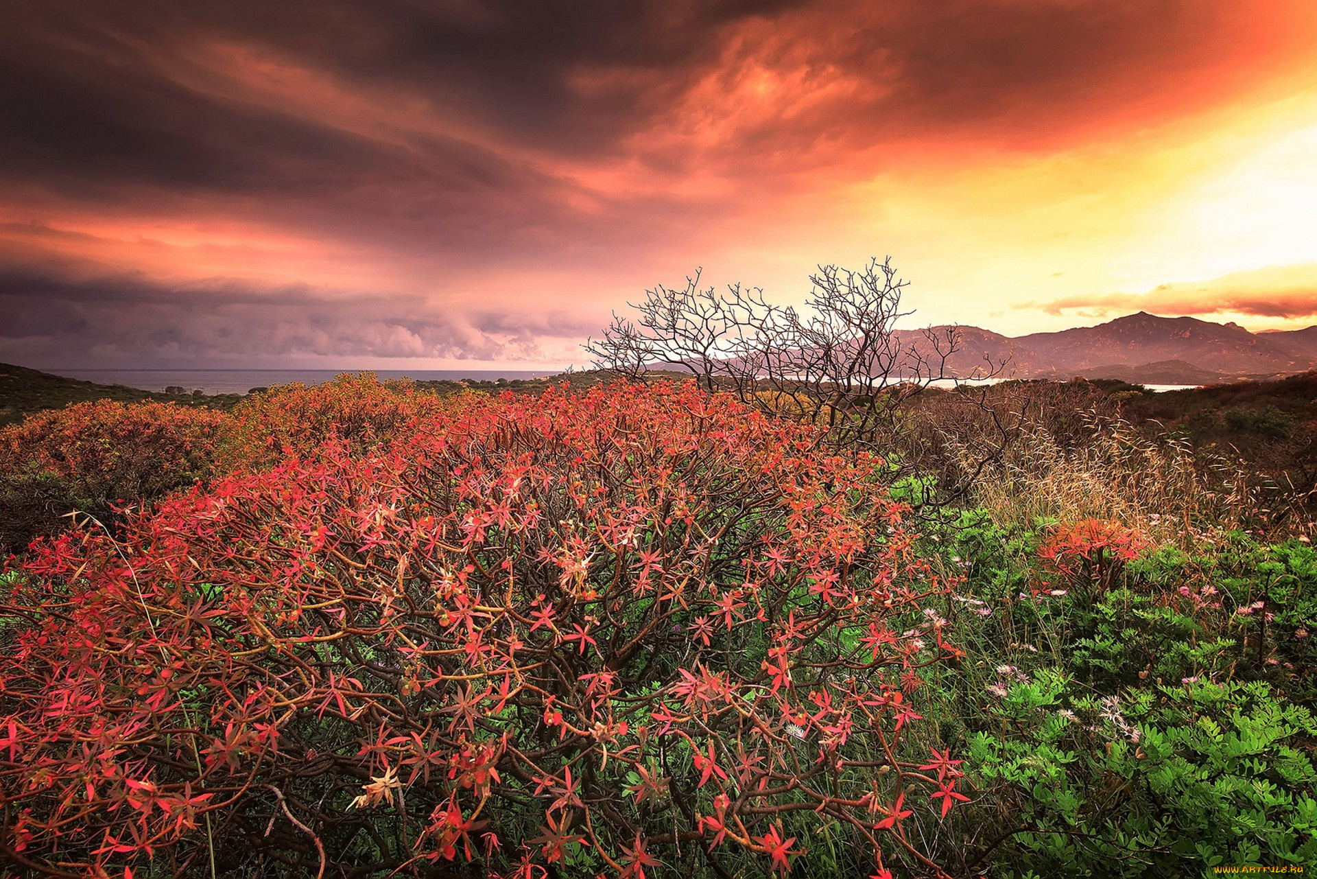 природа, восходы, закаты, простор