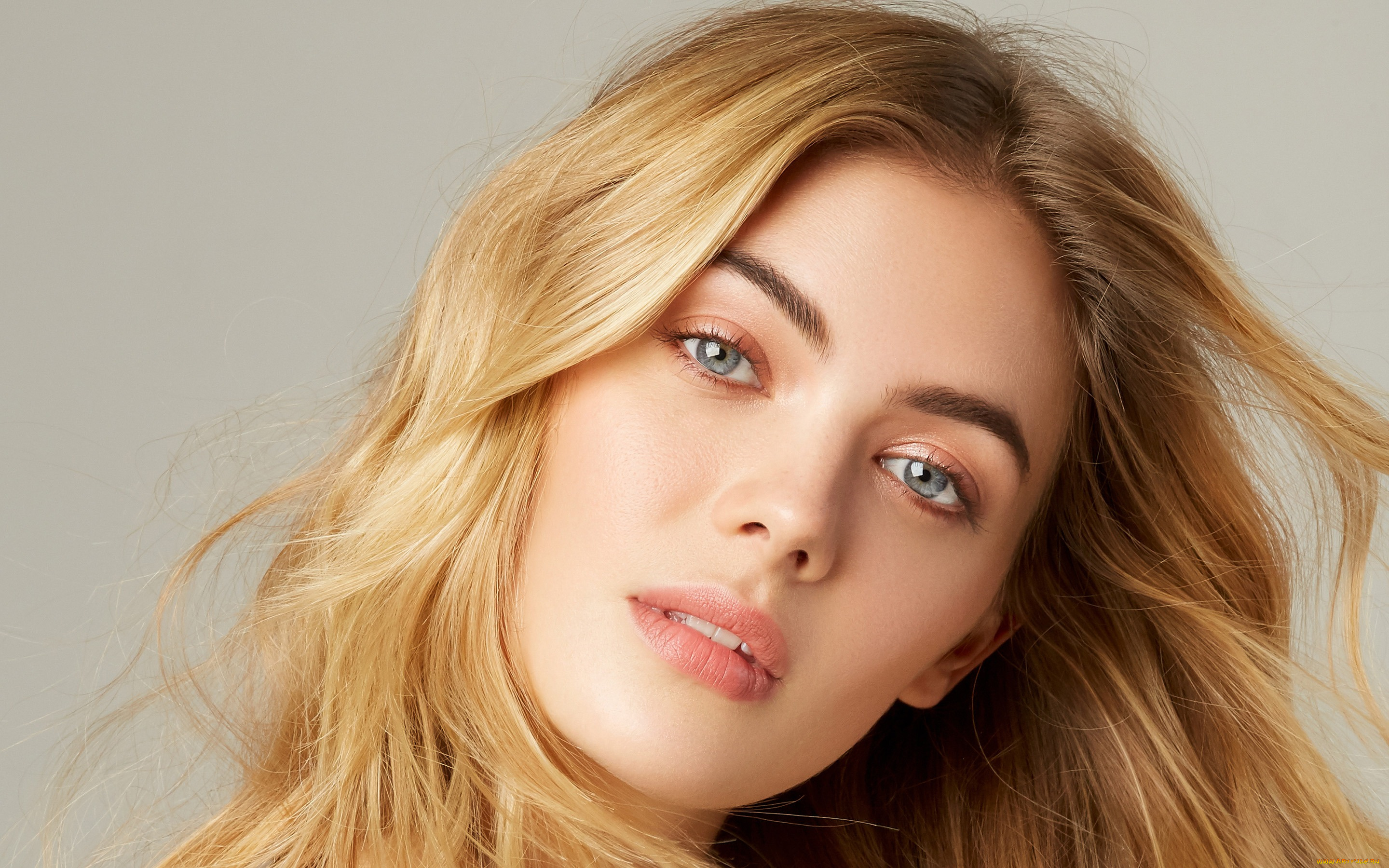 megan, williams, девушки, megan, williams