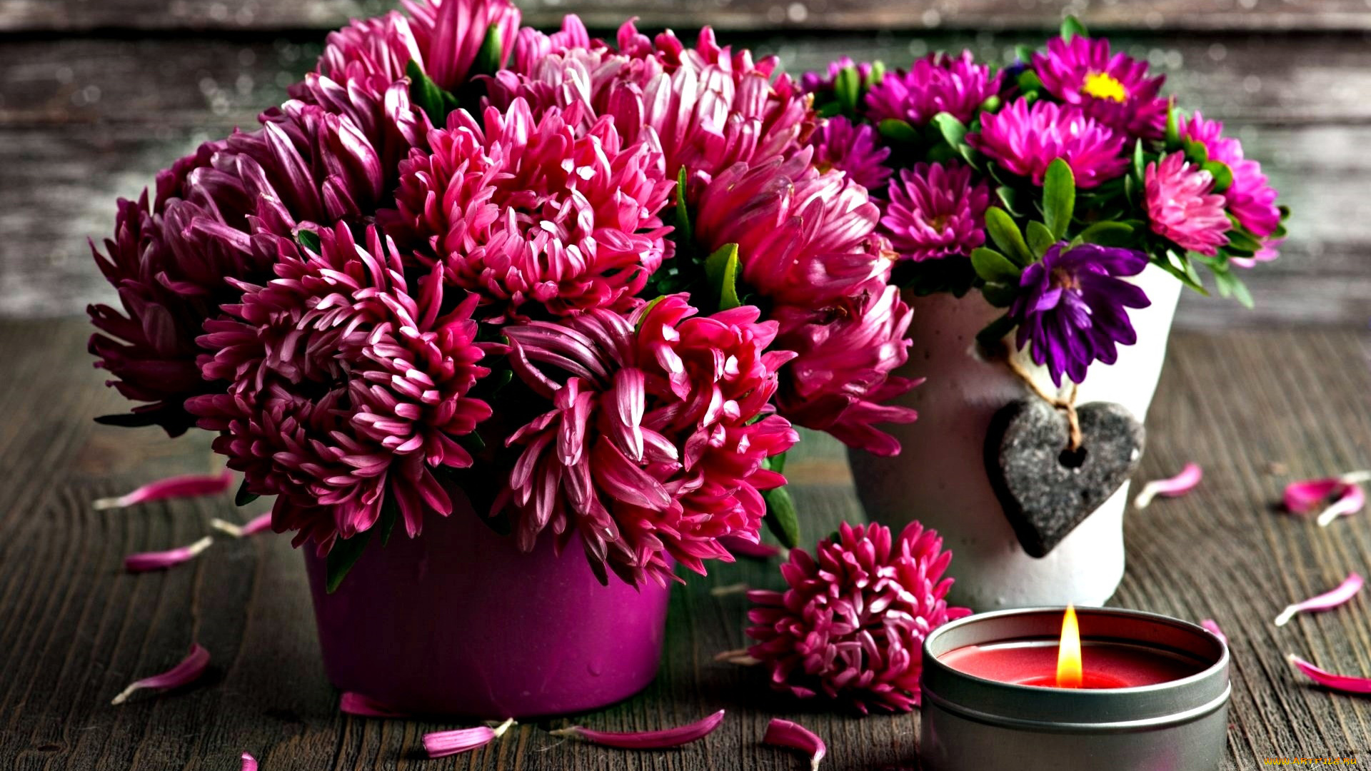 цветы, хризантемы, букет, свеча