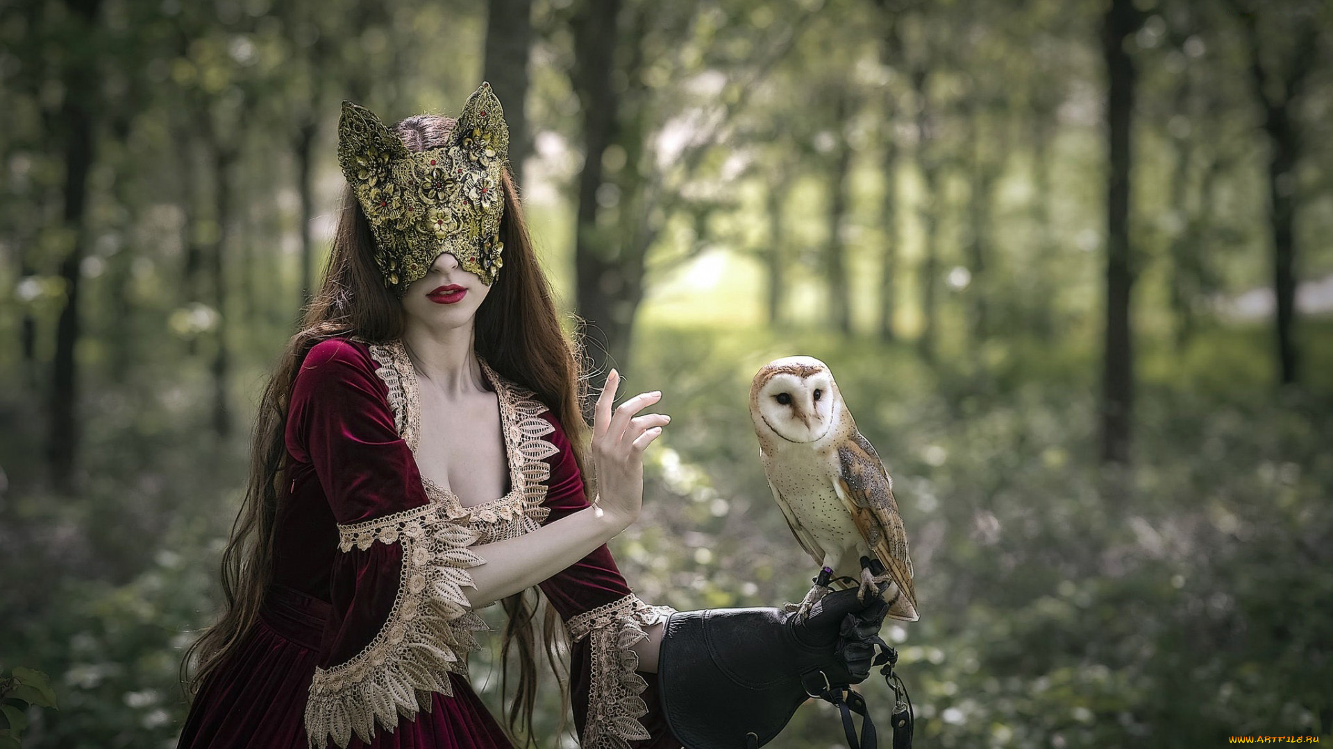 девушки, -, креатив, , косплей, маска, кружева, сова