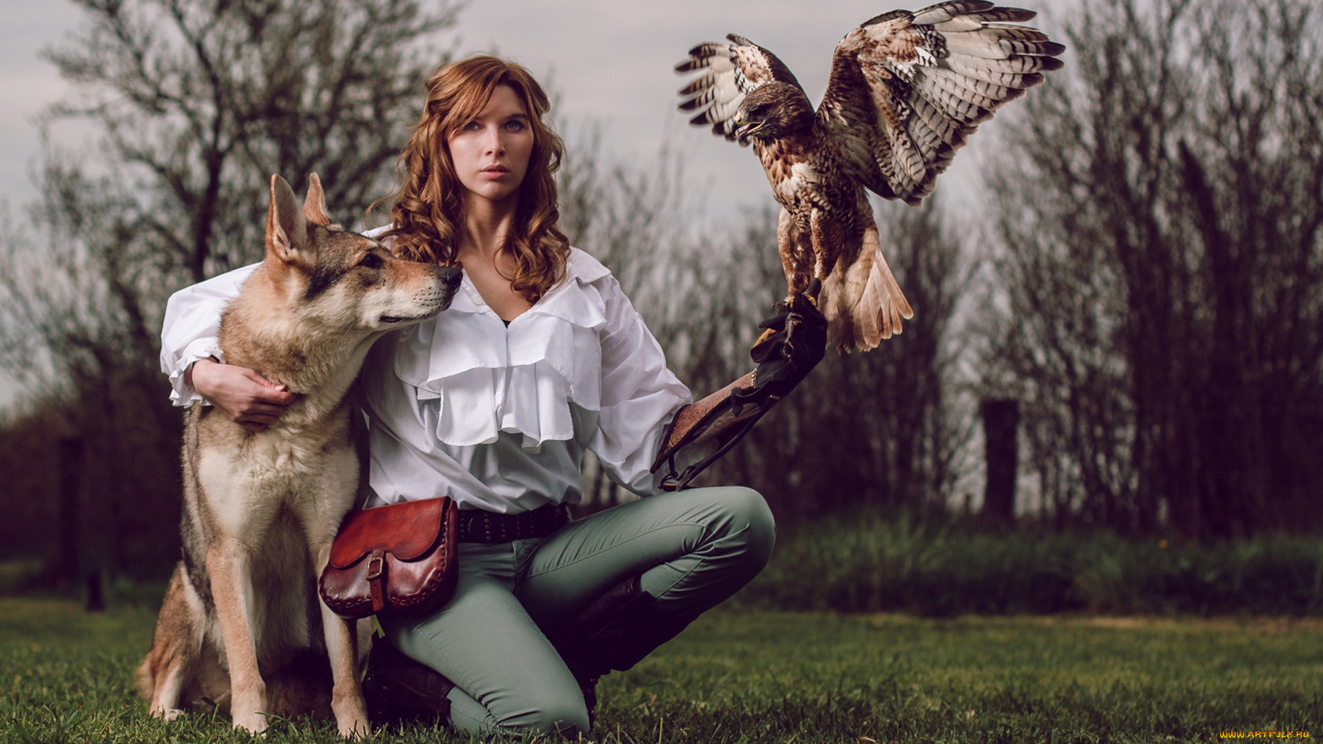 девушки, -, рыжеволосые, и, разноцветные, собака, девушка, сокол