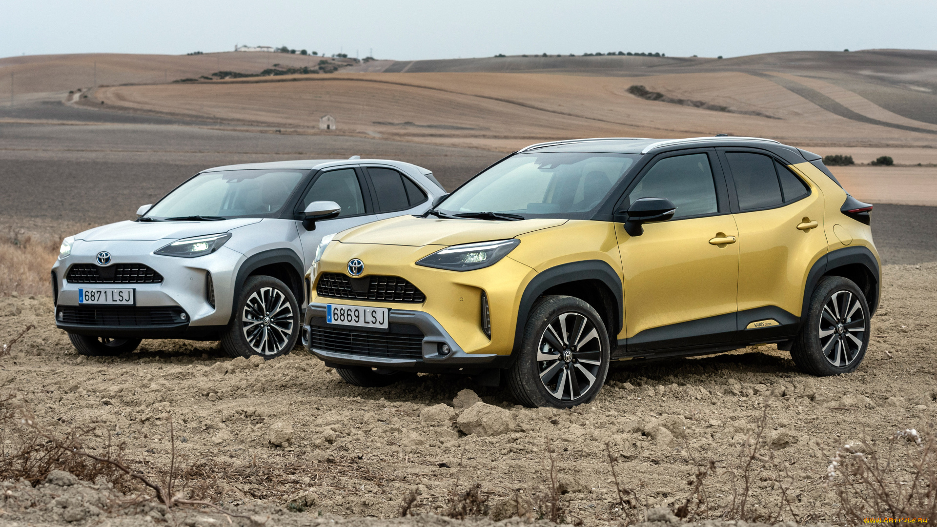 автомобили, toyota