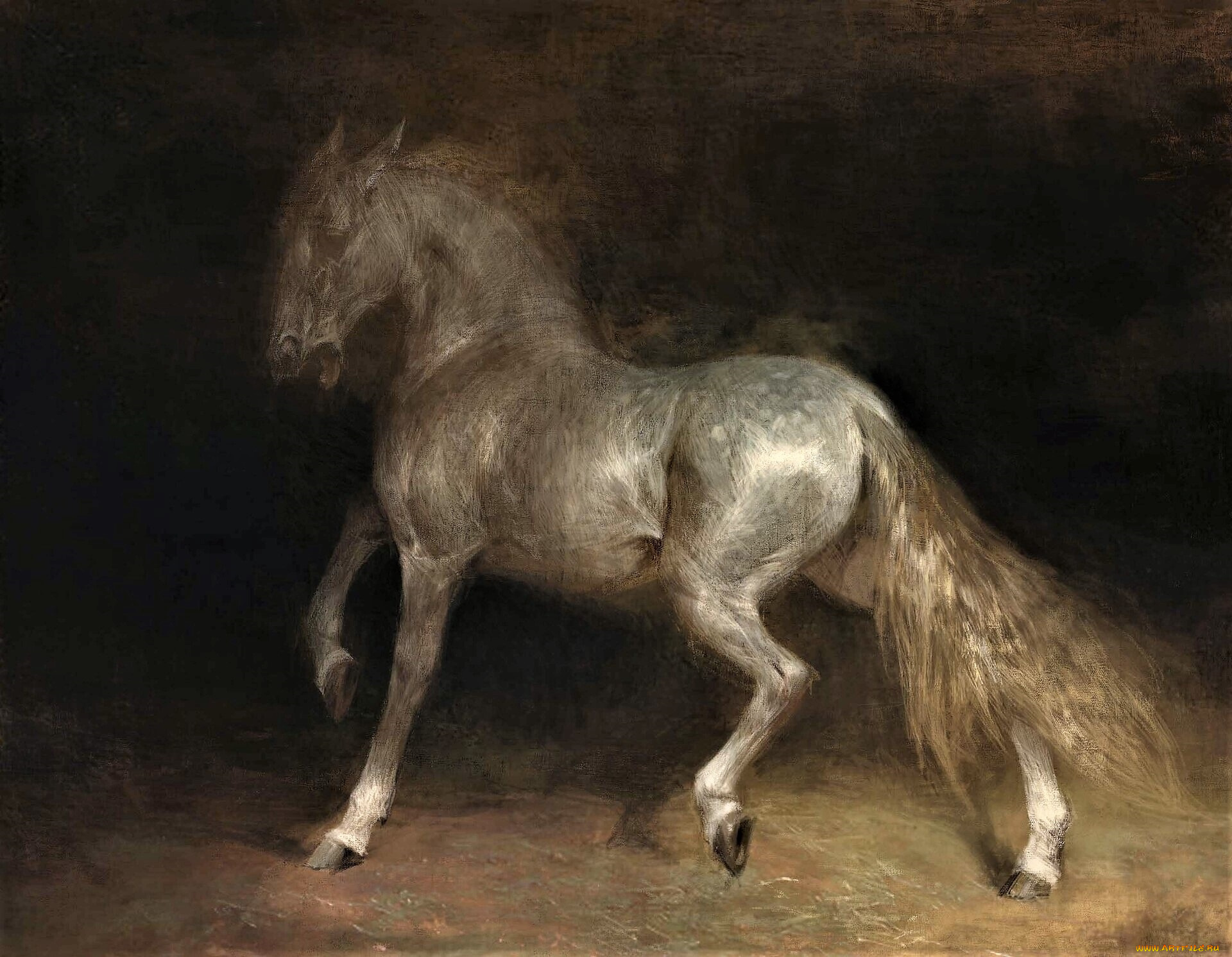 рисованное, животные, , лошади, лошадь