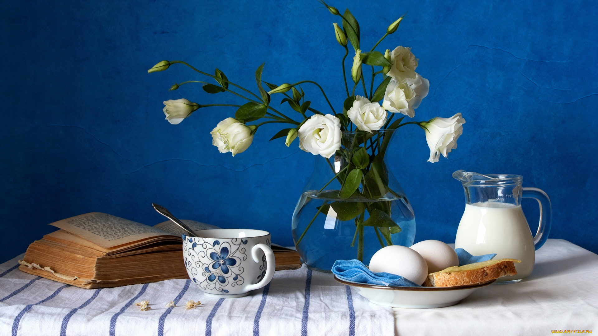 еда, натюрморт