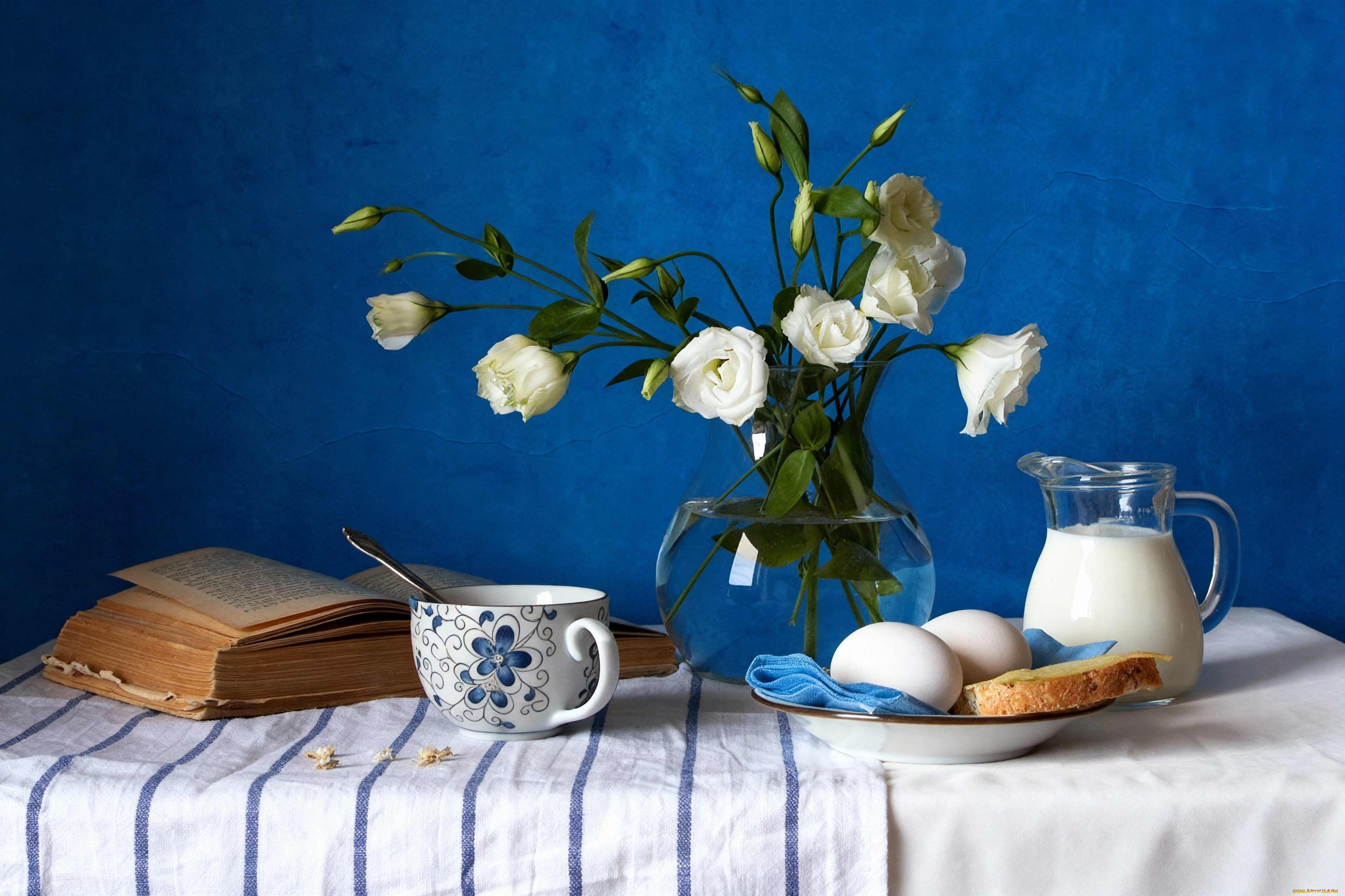 еда, натюрморт