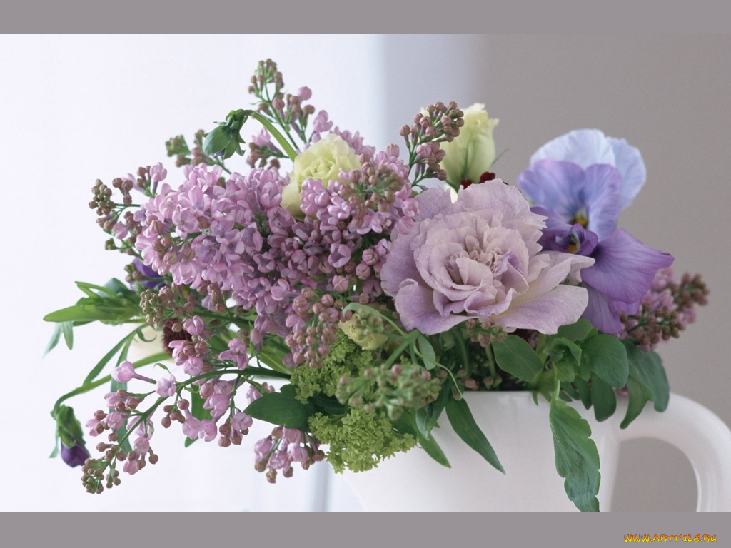 цветы, букеты, композиции