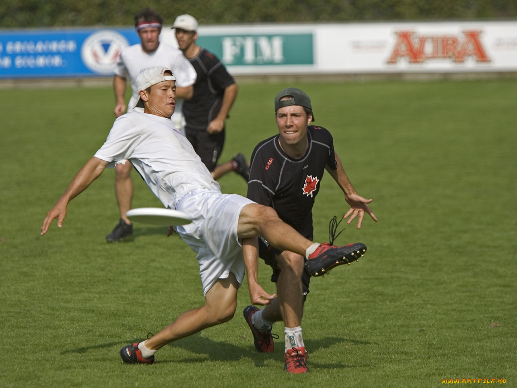 спорт, другое