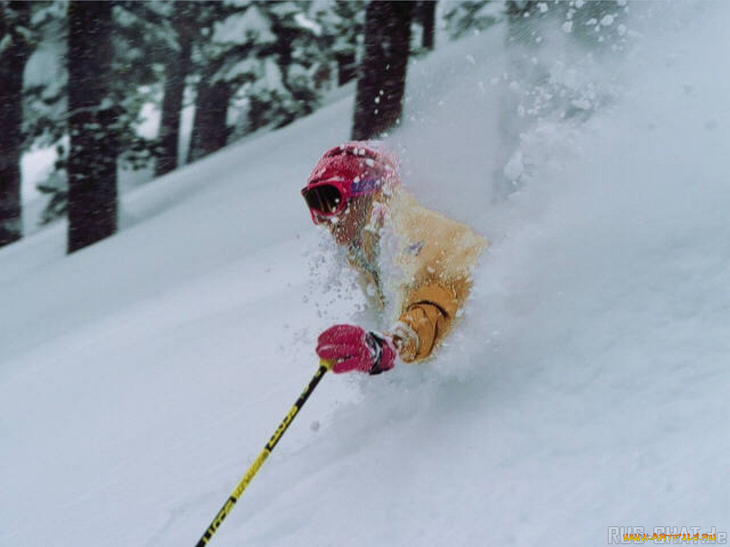 спорт, лыжный