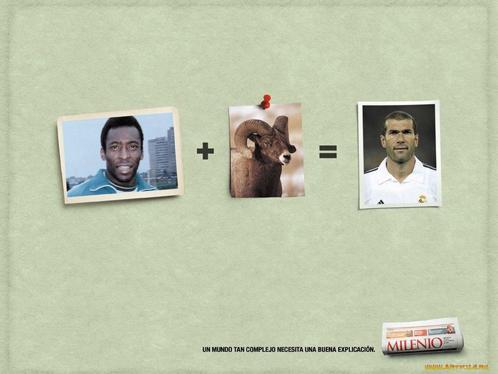 юмор, приколы