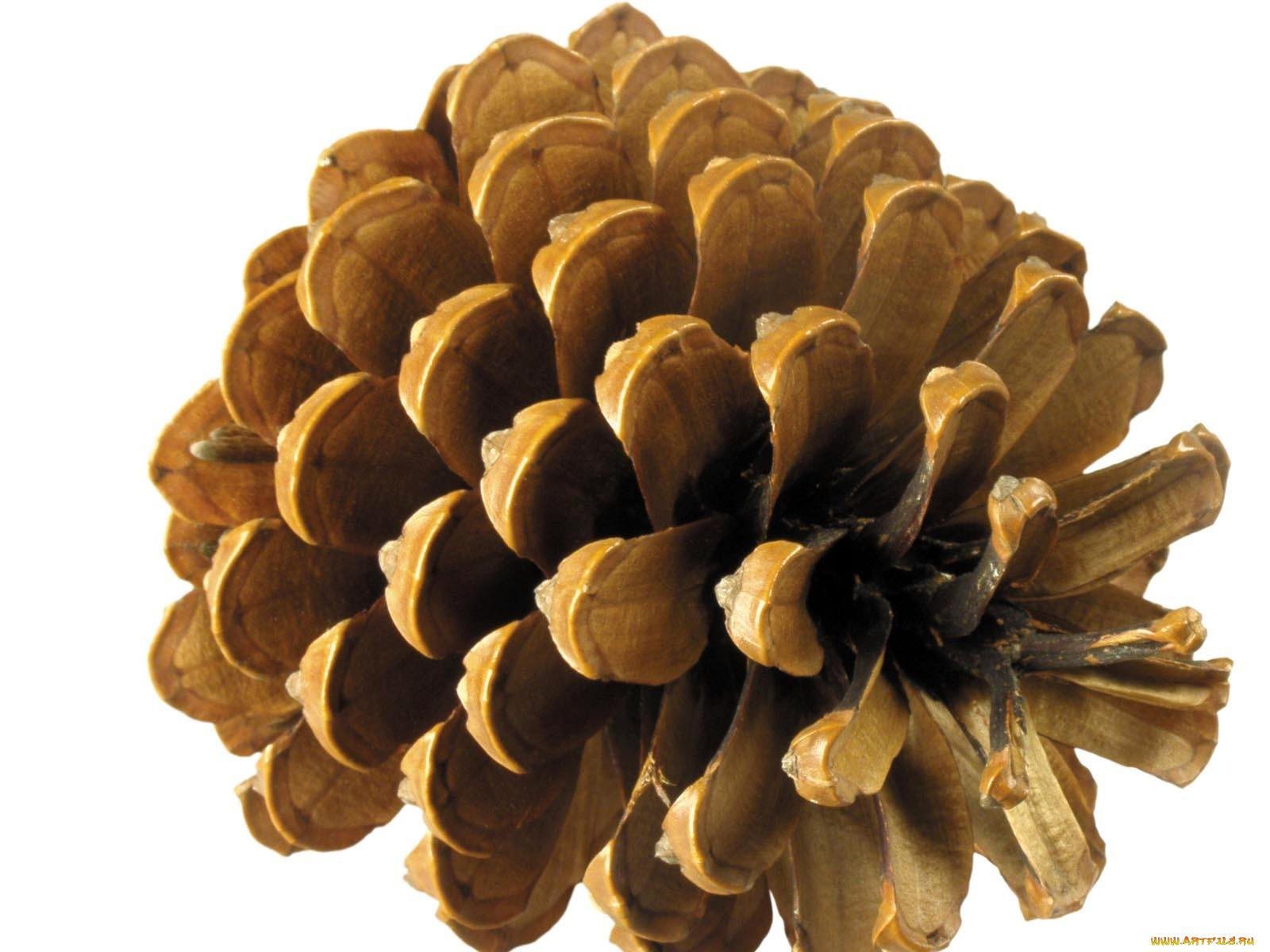 праздничные