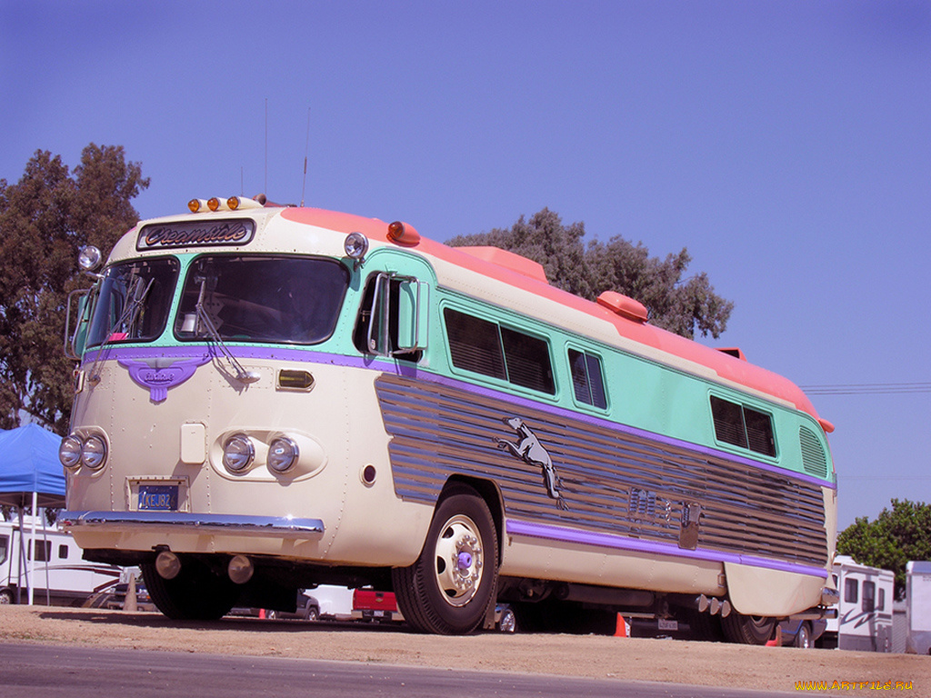 автомобили, автобусы