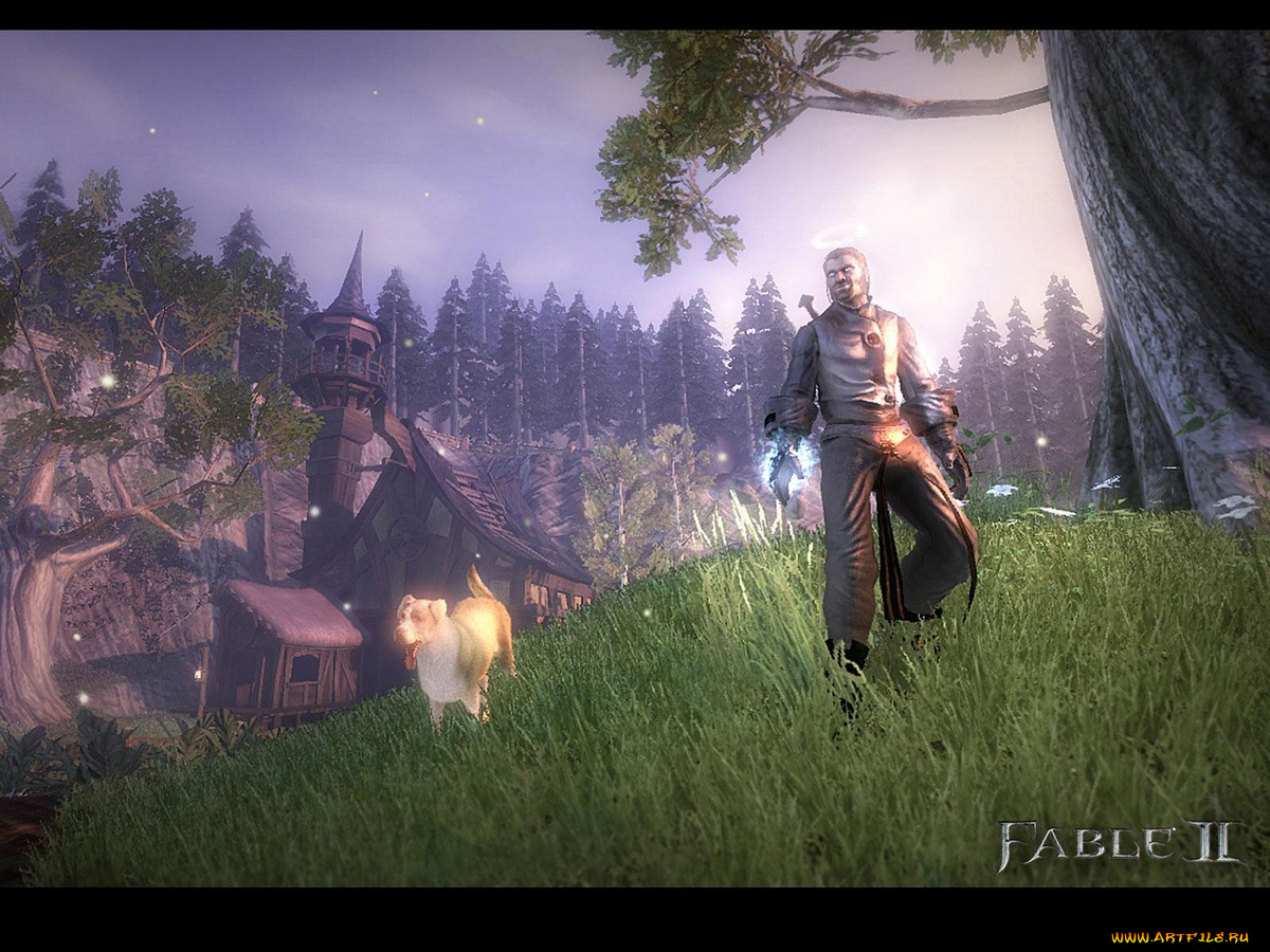 видео, игры, fable