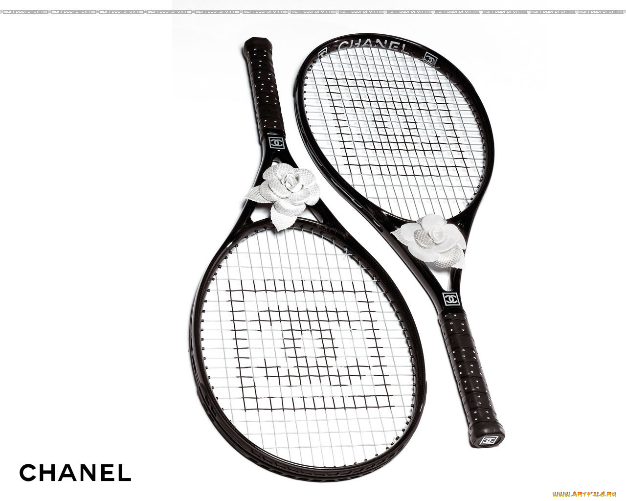 бренды, chanel