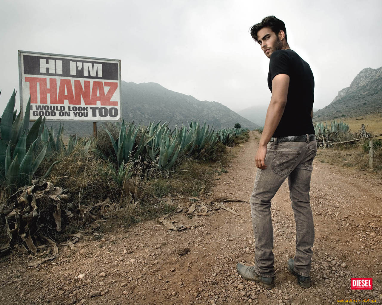 бренды, diesel