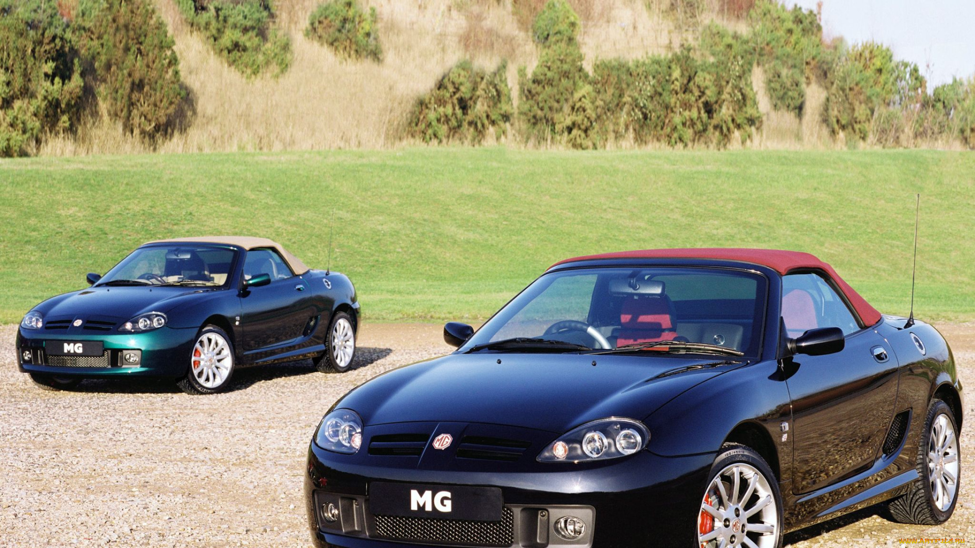 автомобили, mg