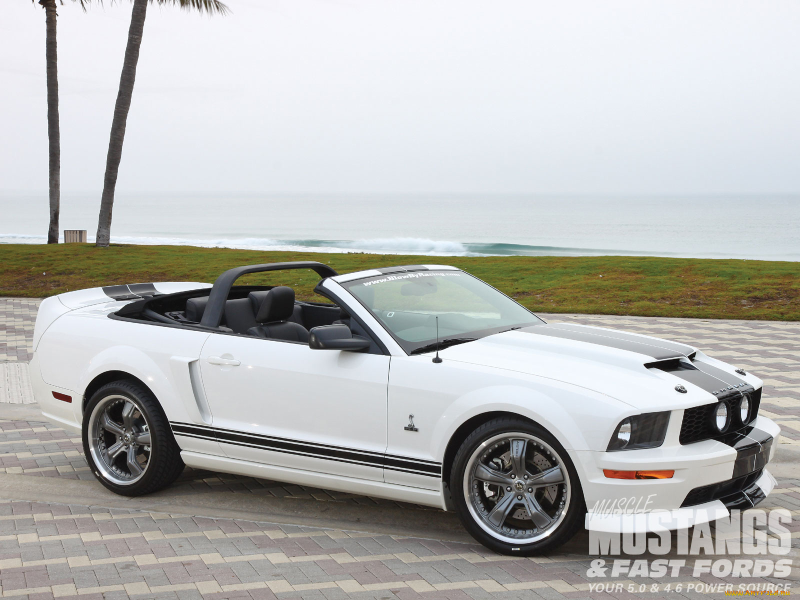 автомобили, mustang