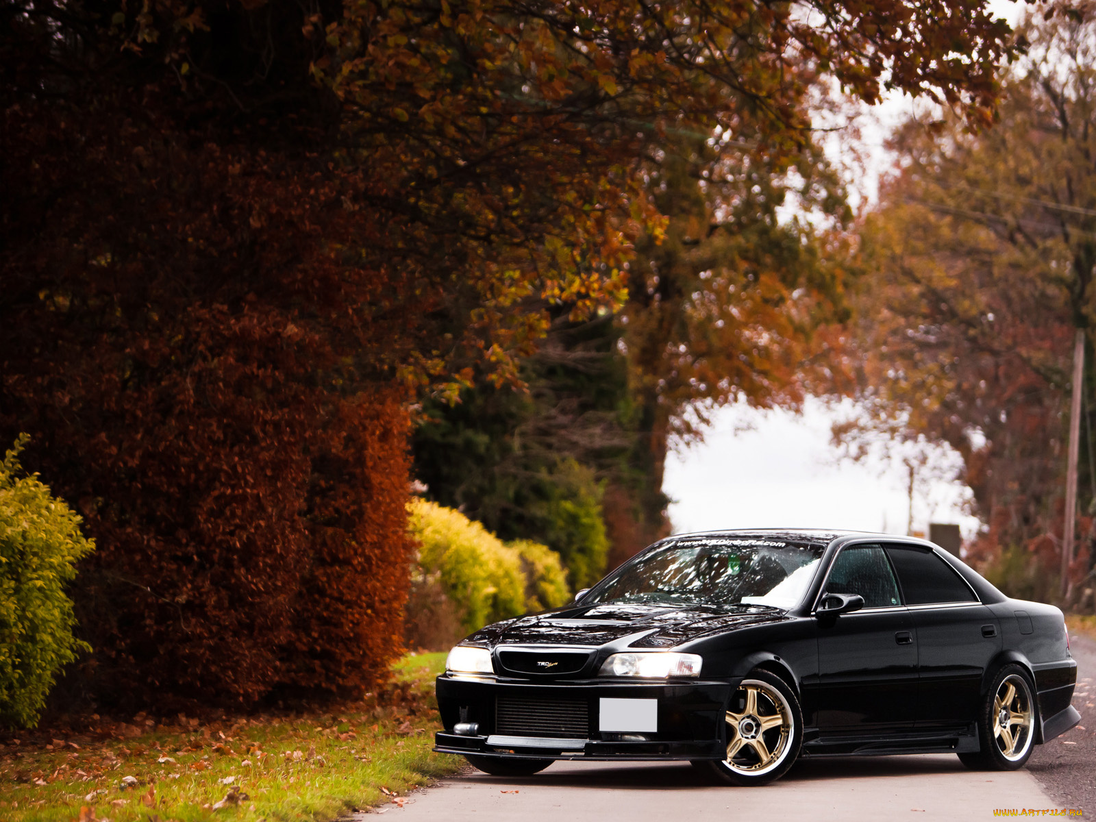 автомобили, toyota