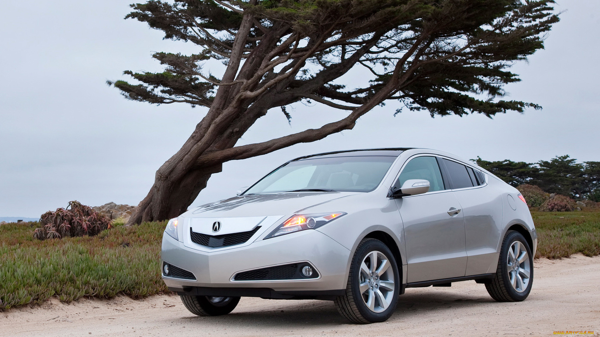 автомобили, acura, zdx