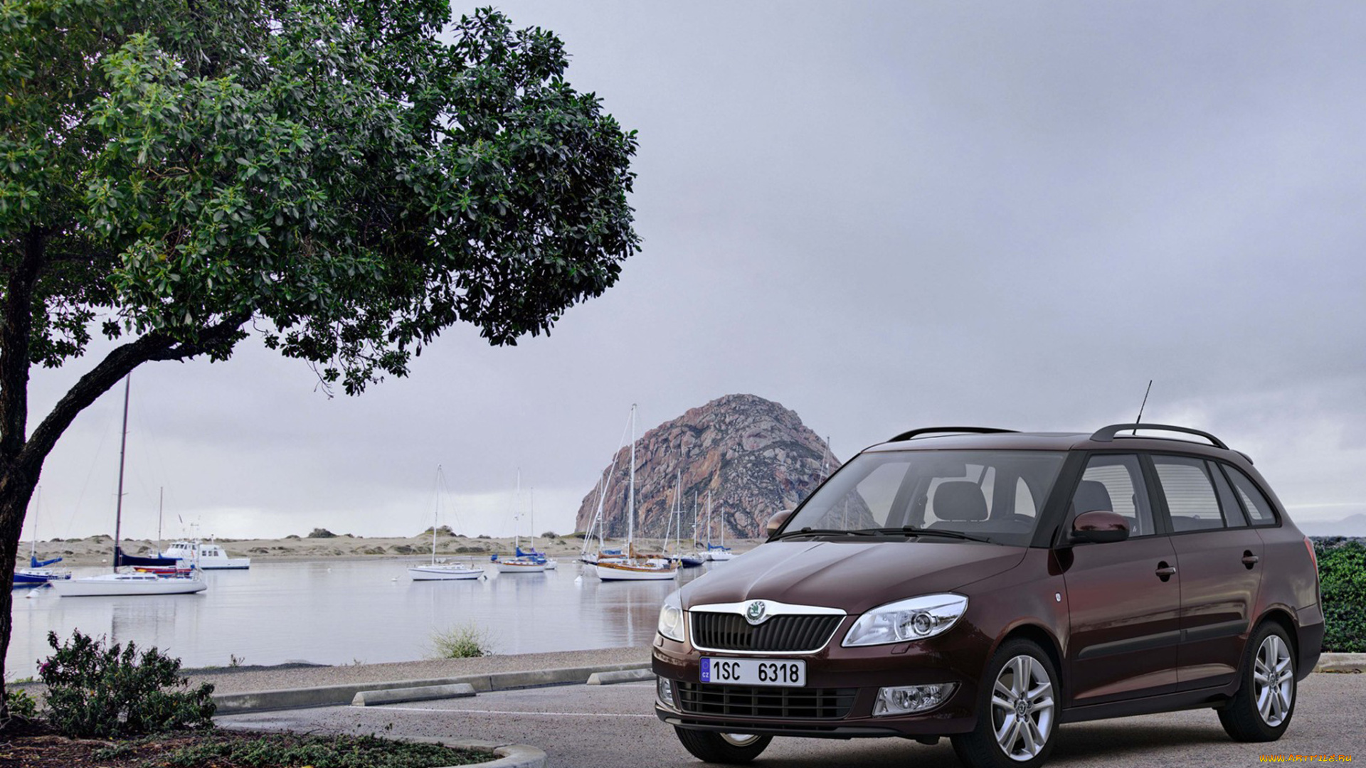 автомобили, skoda, fabia, combi