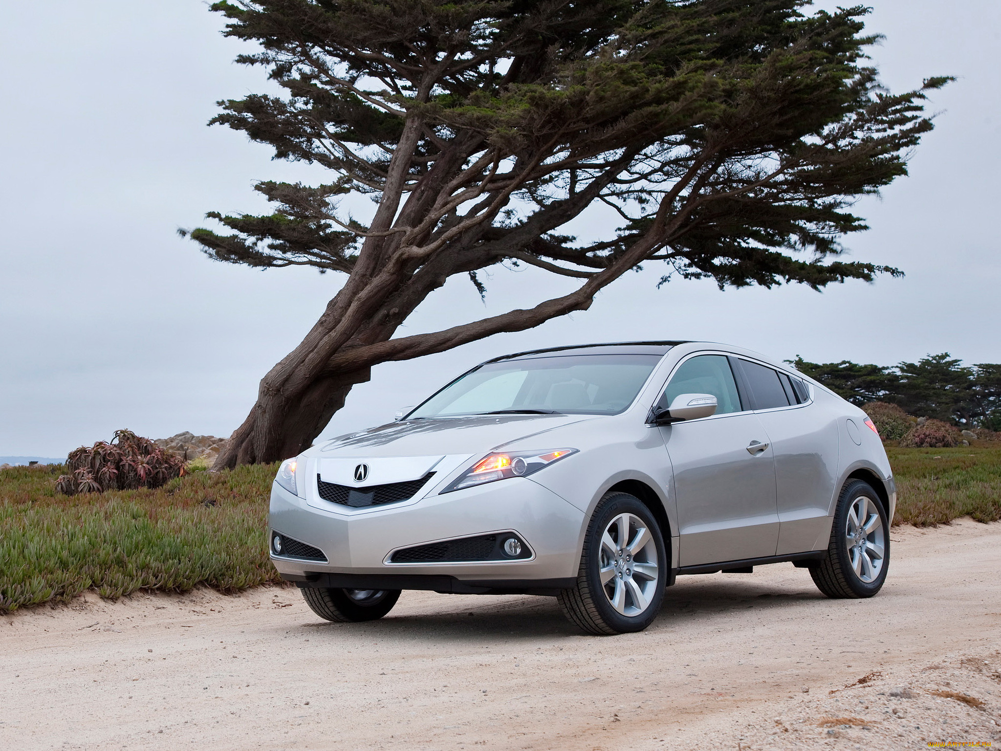 автомобили, acura, zdx