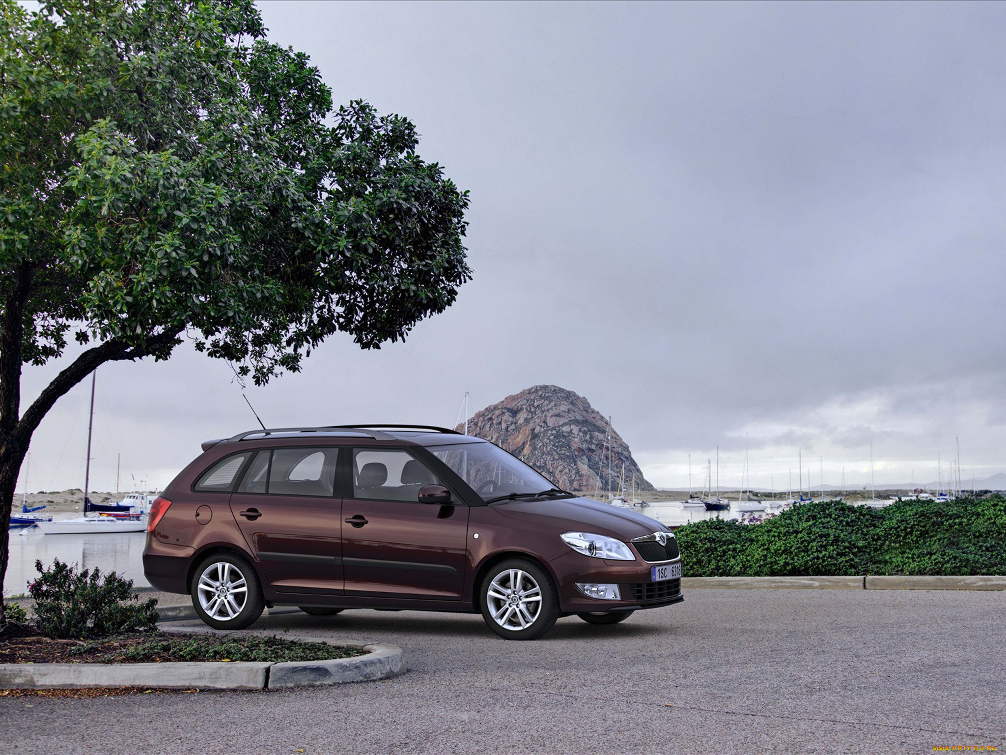 автомобили, skoda, fabia, combi