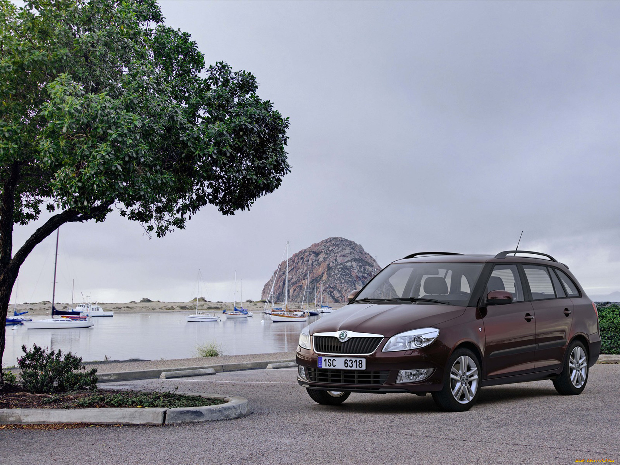 автомобили, skoda, fabia, combi