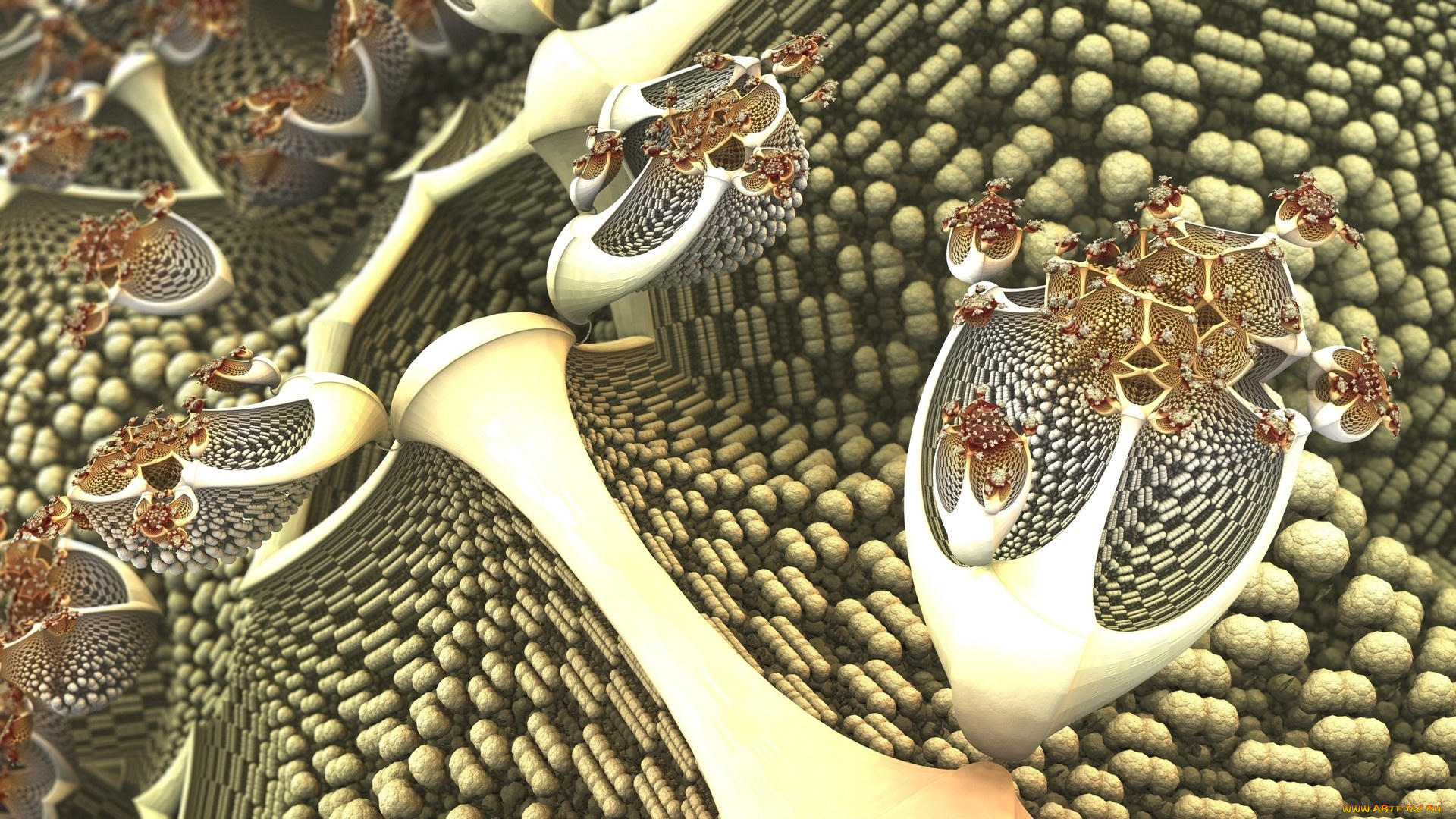 3д, графика, fractal, фракталы, цвета, фон, узор