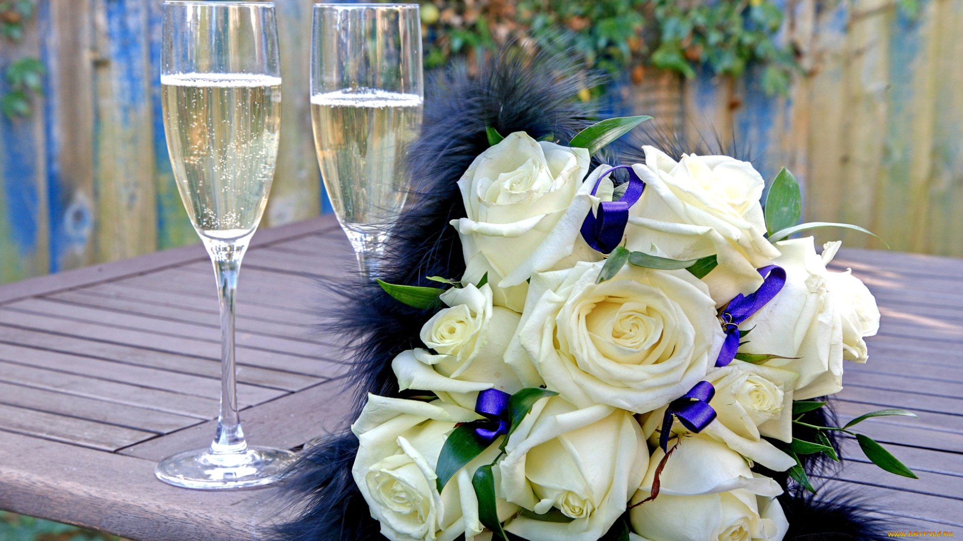 цветы, розы, белый, шампанское
