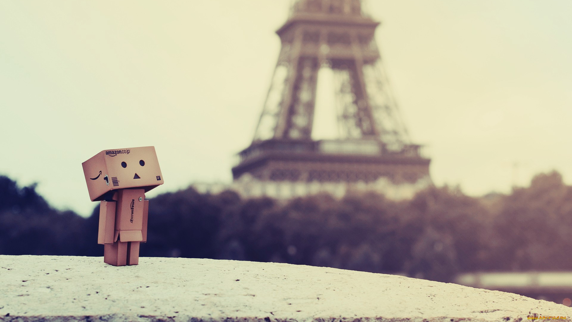 разное, данбо, danboard