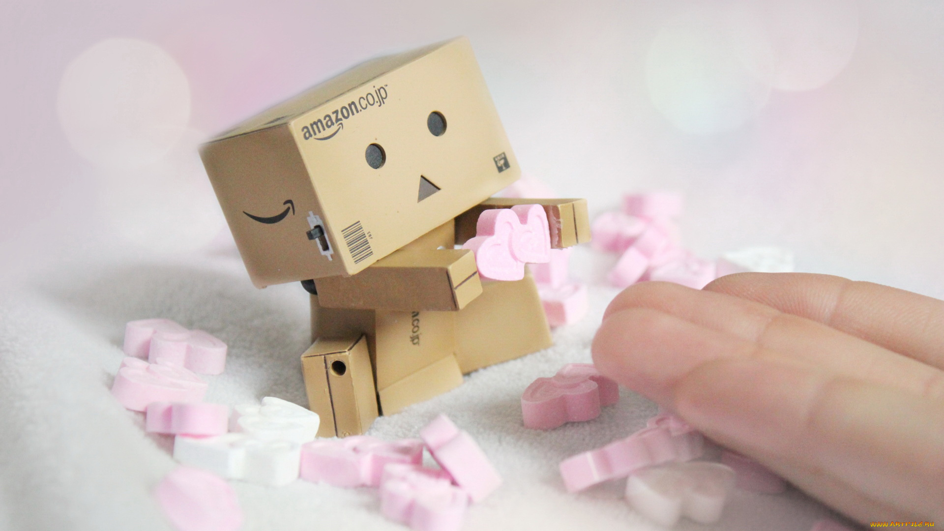 разное, данбо, danboard