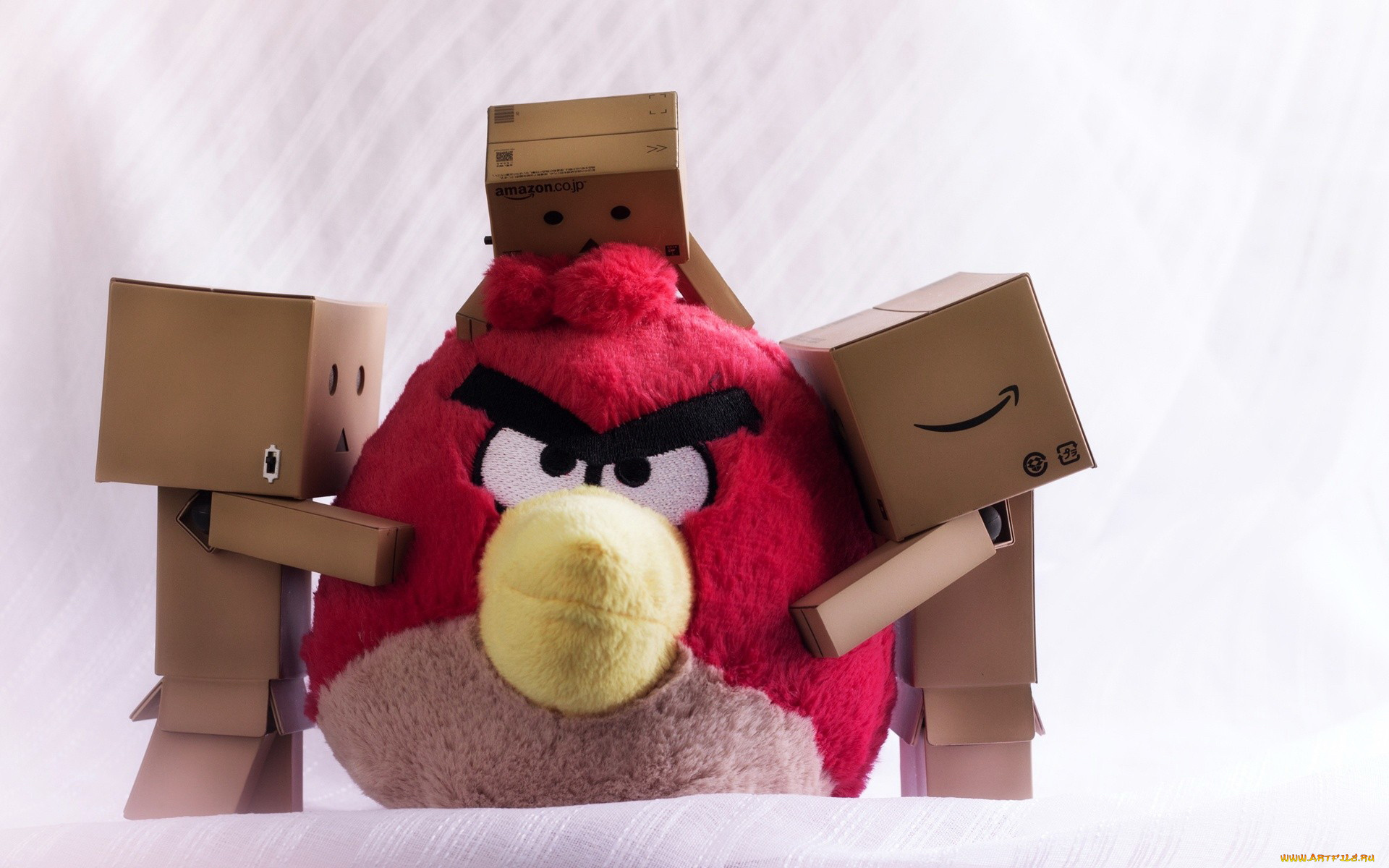 разное, данбо, danboard