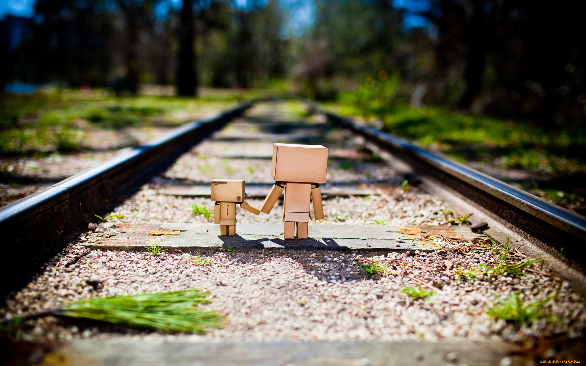 разное, данбо, danboard