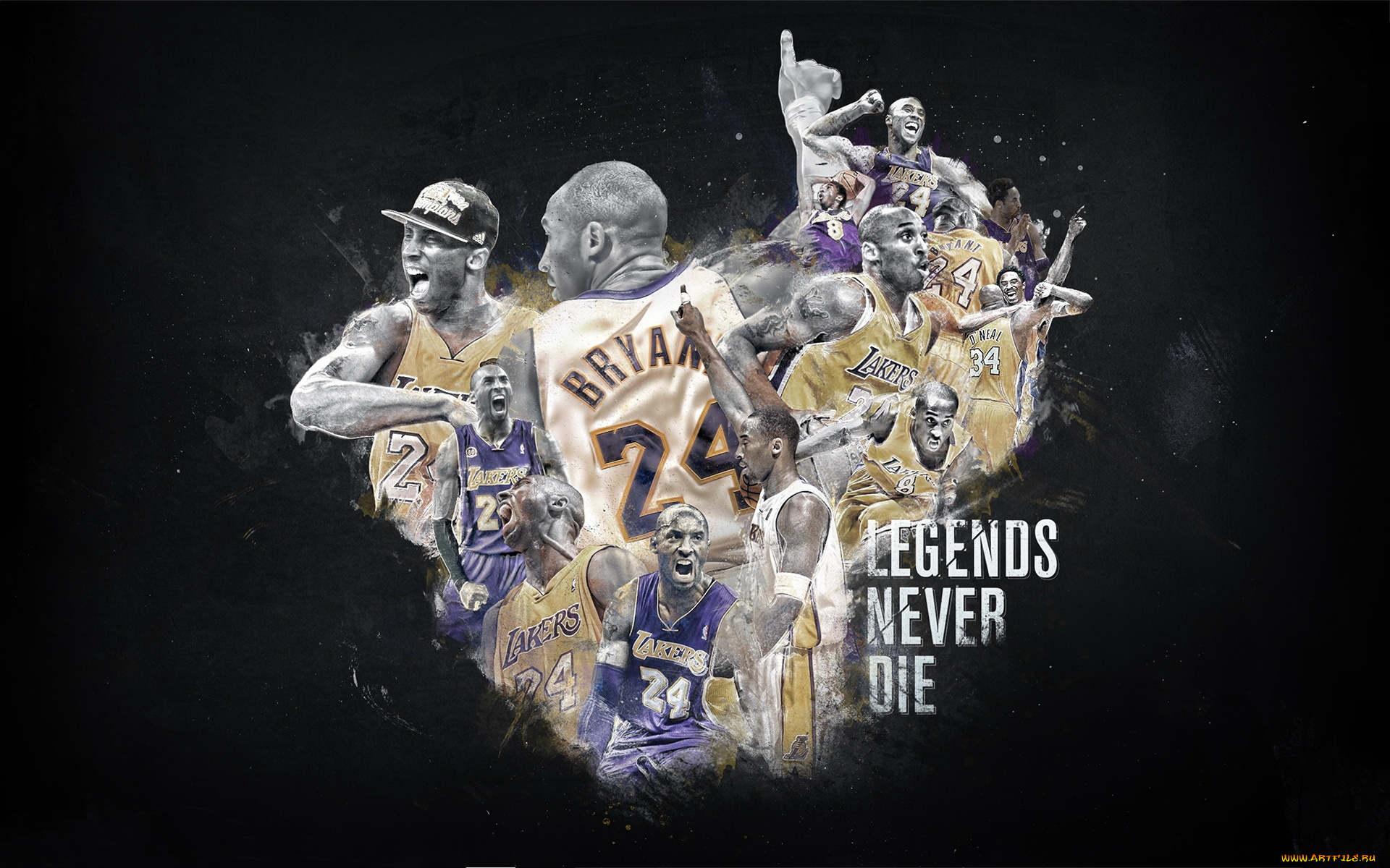 спорт, nhl, игра