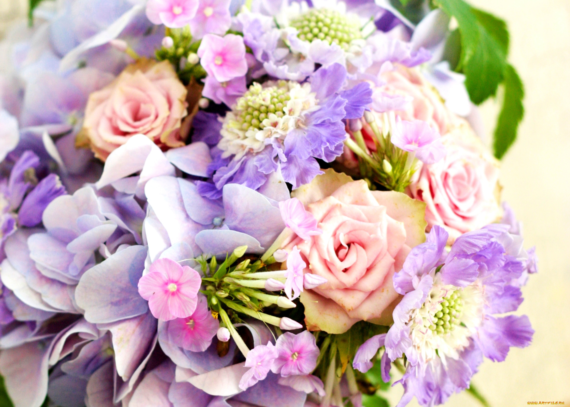 цветы, букеты, композиции, розы, флоксы, гортензия, скабиоза