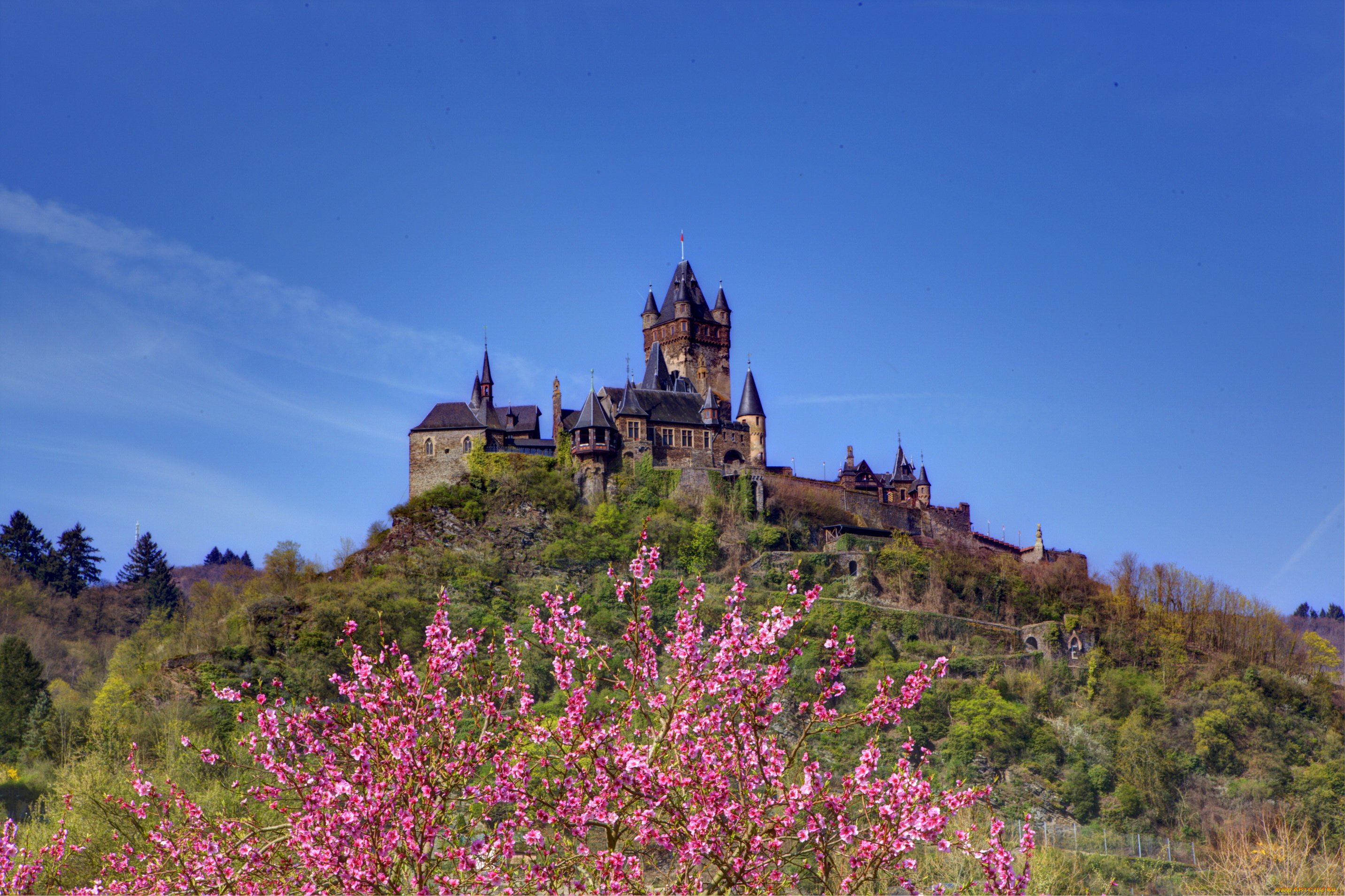 замок, reichsburg, cochem, germany, города, кохем, германия