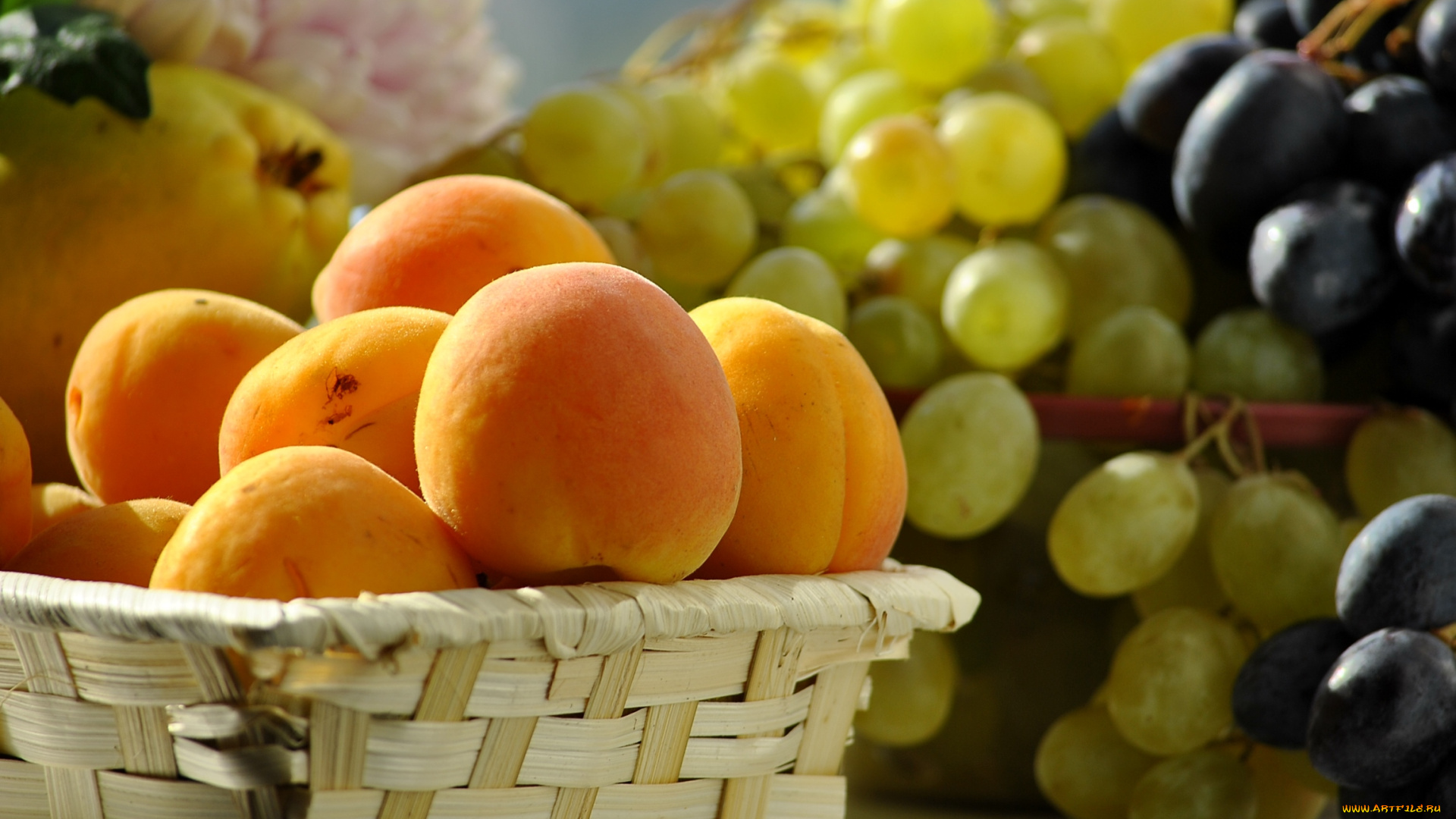 еда, фрукты, , ягоды, абрикос, виноград