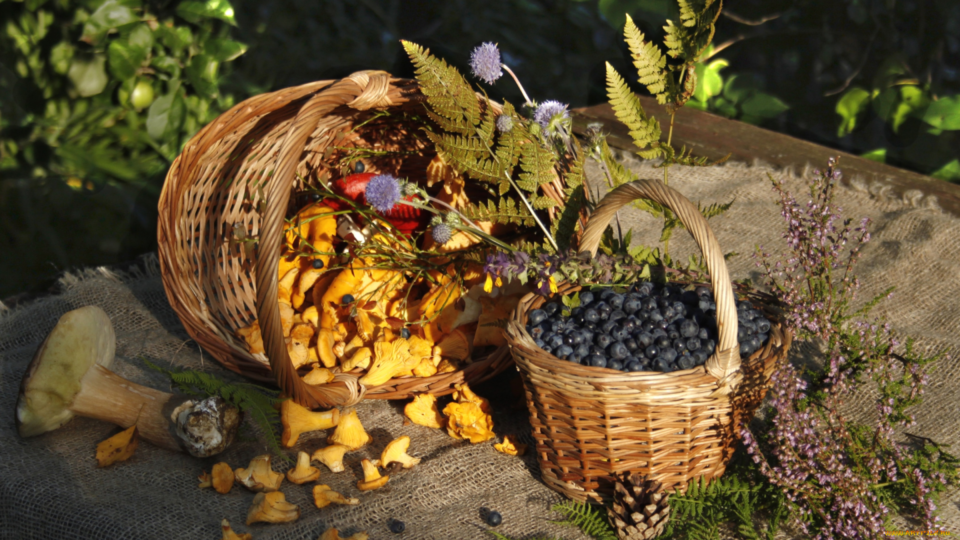 еда, разное, лисички, вереск, черника