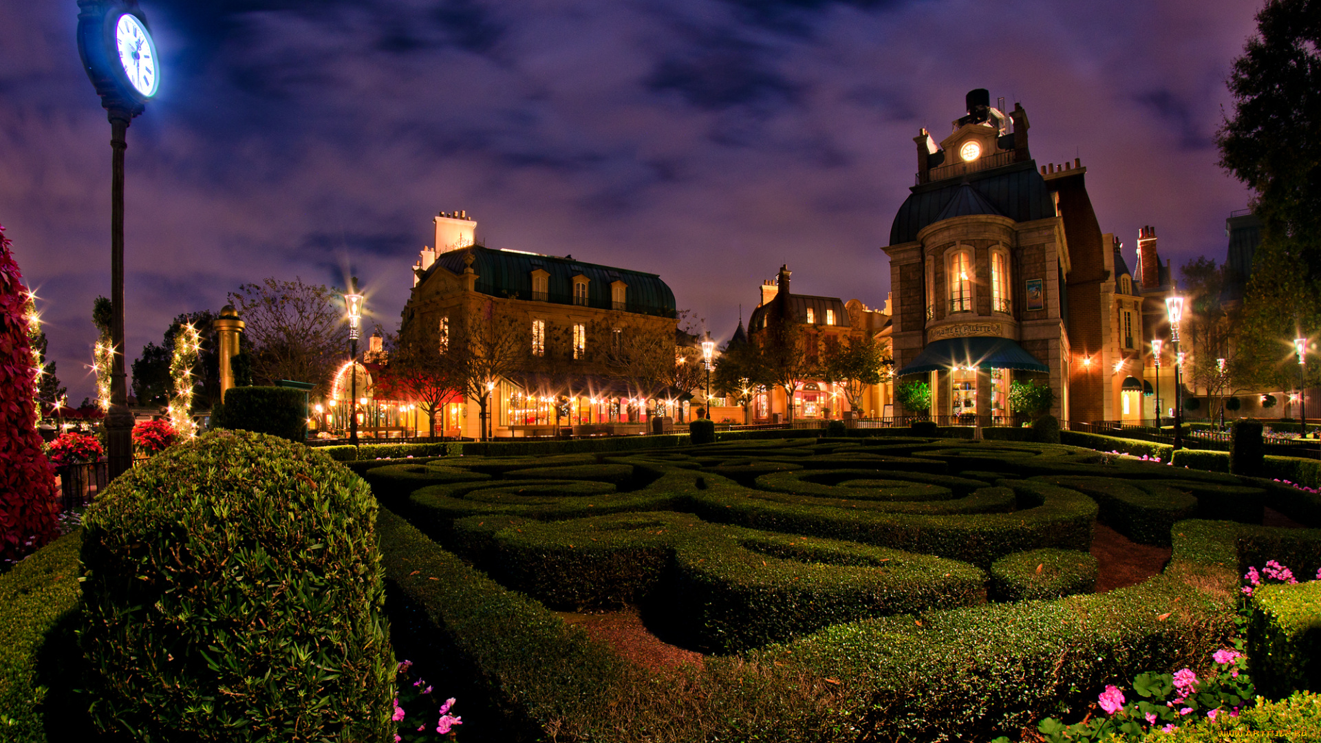 города, диснейленд, кусты, клумбы, ночь, огни, парк