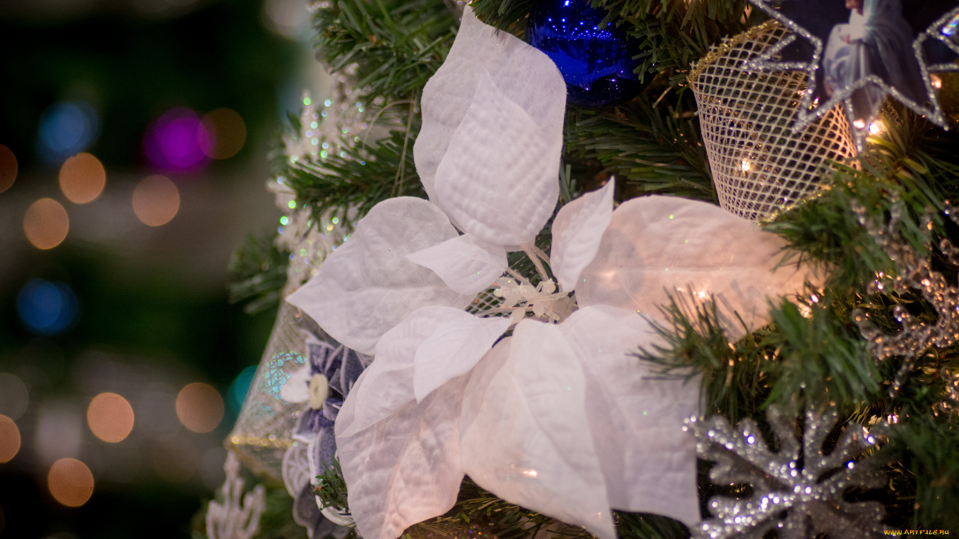 праздничные, мишура, , гирлянды, , цветы, пуансеттия