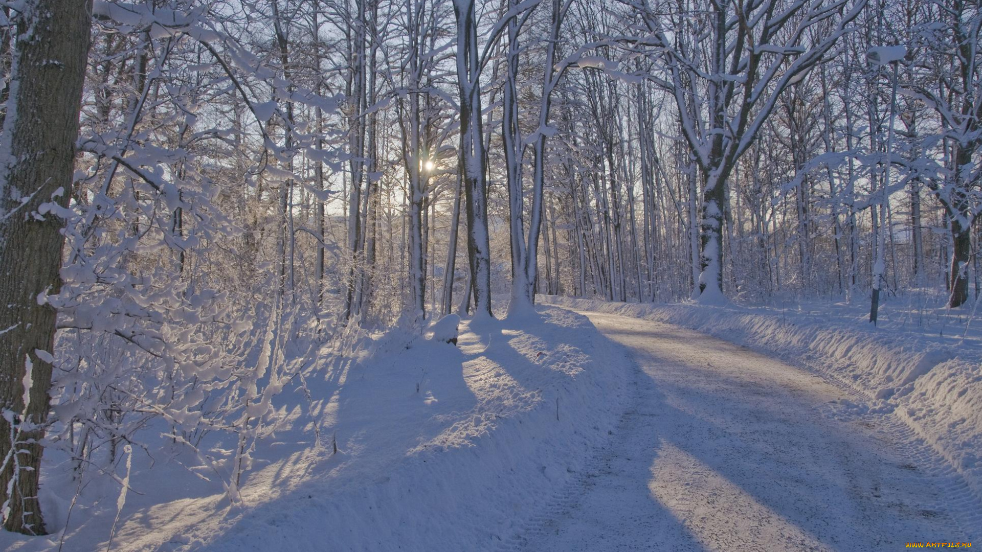 природа, дороги, лес, деревья, зима