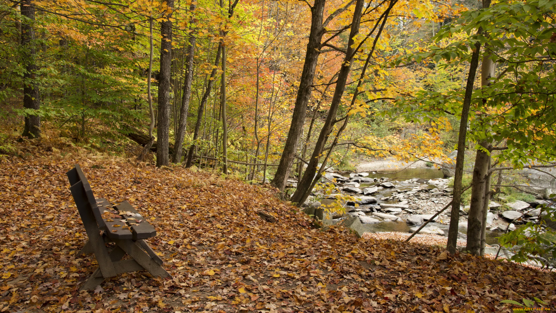 природа, парк, река, листва, деревья, осень
