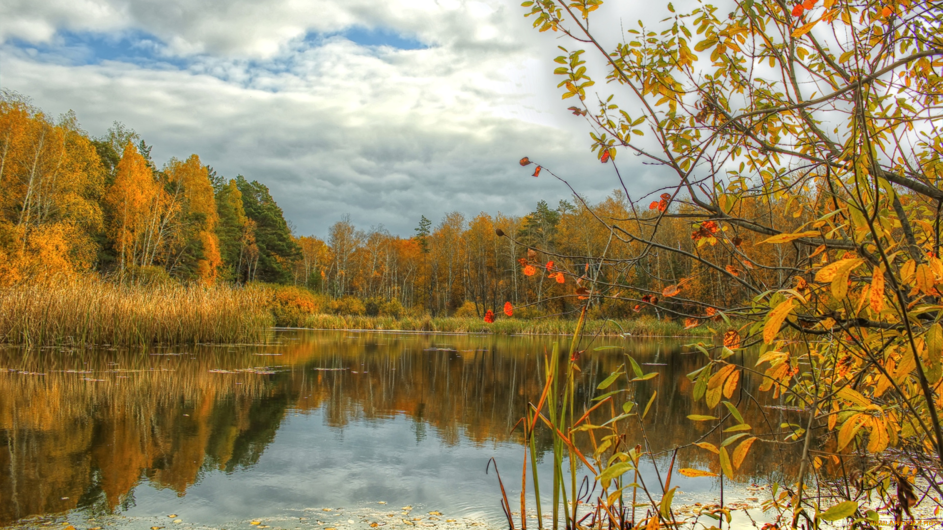 природа, реки, озера, осень