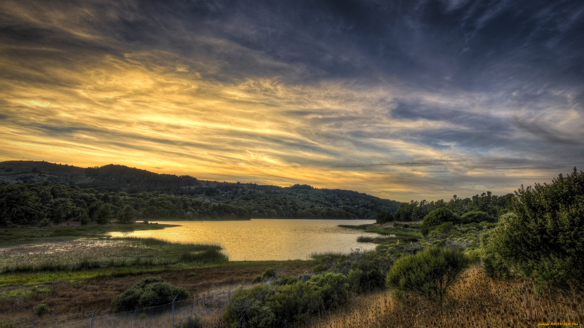 природа, реки, озера, река, тучи, деревья, трава