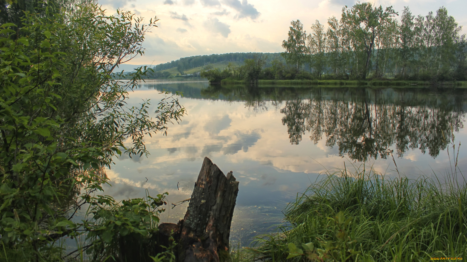 природа, реки, озера, вода, деревья