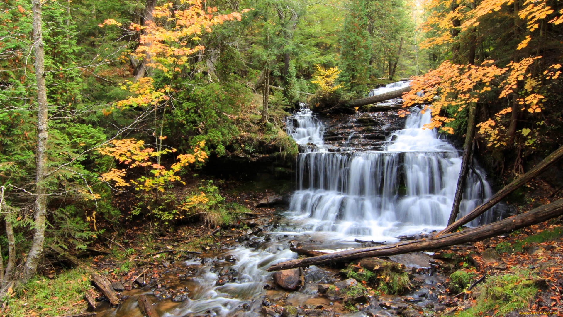 природа, водопады, каскад, водопад, река, лес
