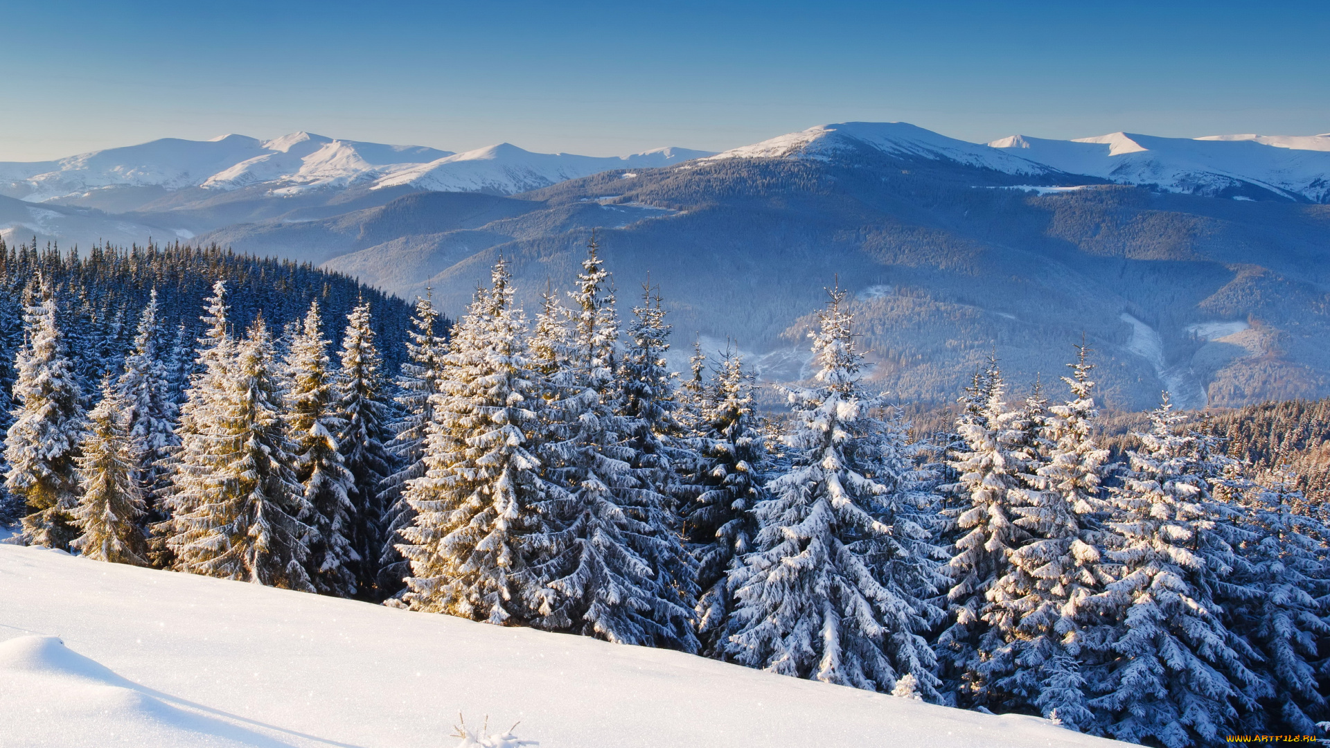 природа, зима, лес, снег, горы